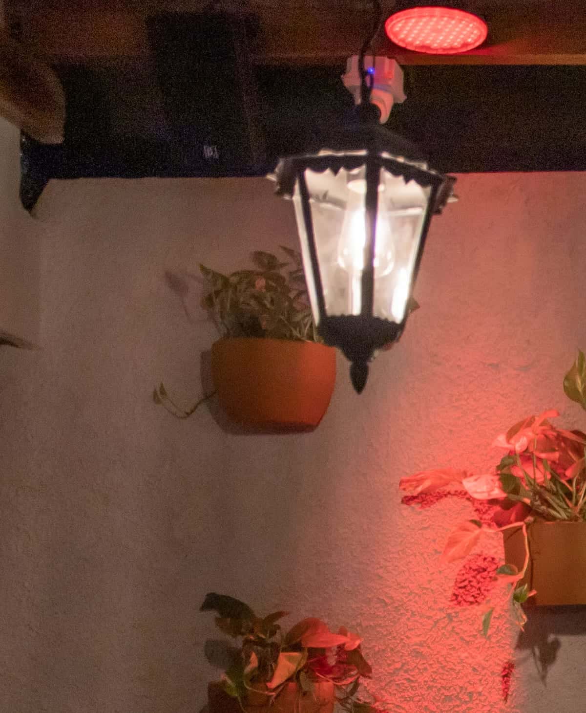 A lit iron-and-glass lantern beside the hanging pots, washed in red light