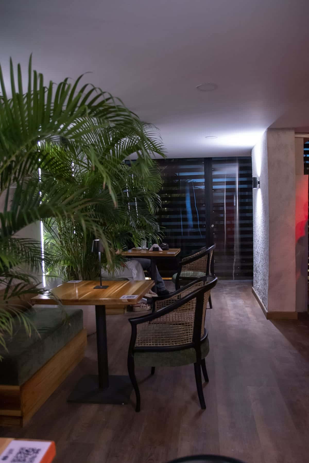 A palm beside a wooden table with its lamp, in a corner of the patio